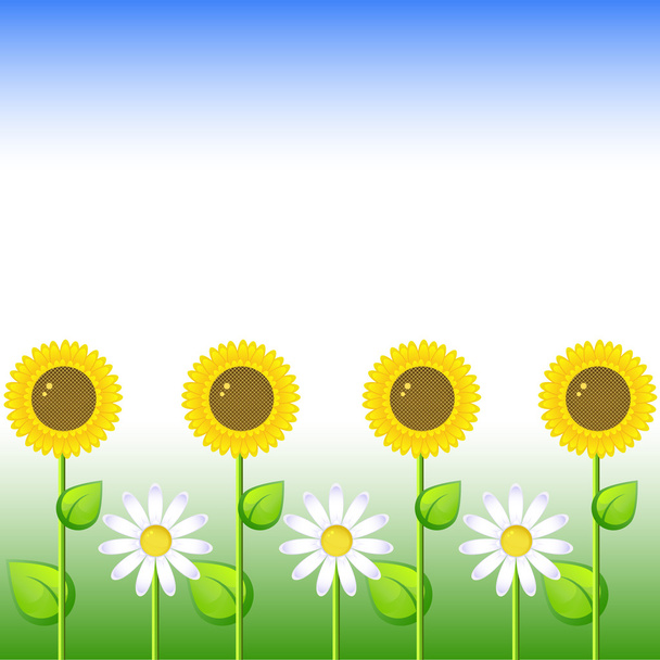 Background with sunflowers and daisy - Vektör, Görsel