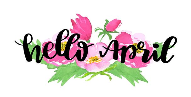 Hello april. Spring lettering quote on wild pink rose background. Flowers on white background with the lettering phrase. Can be used for greeting card, poster, banner. Vector watercolor sketch illustration - ベクター画像
