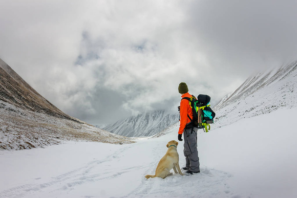 Man and dog labrador hike the cloudy mountains. - Foto, imagen