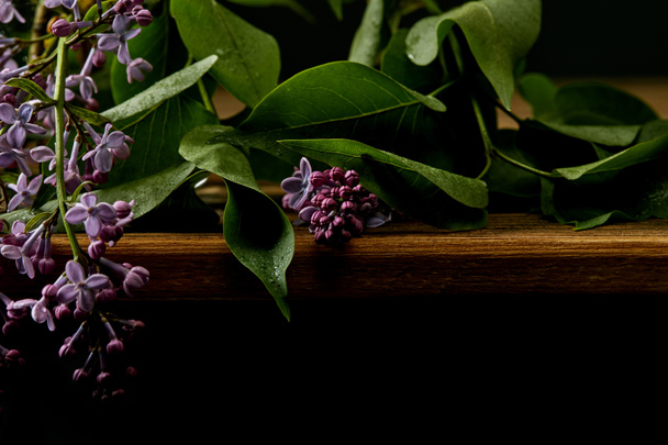 close-up shot of aromatic lilac flowers and leaves on wooden surface isolated on black - Foto, Bild