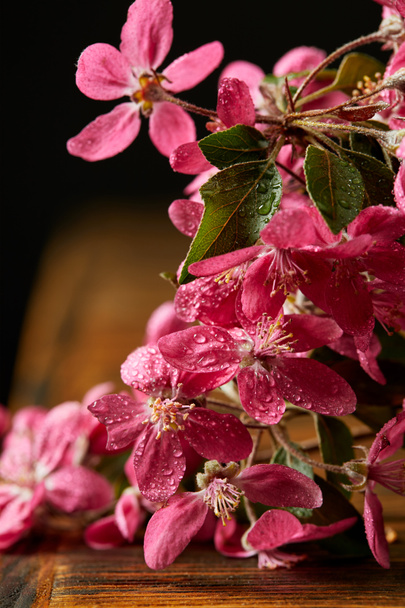 primer plano de hermosa flor de cerezo rosa acostado en la superficie de madera
 - Foto, Imagen