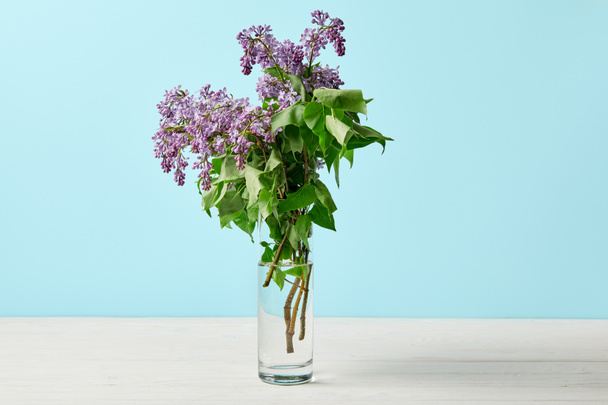close-up shot of beautiful spring lilac flowers in vase isolated on blue - Photo, Image
