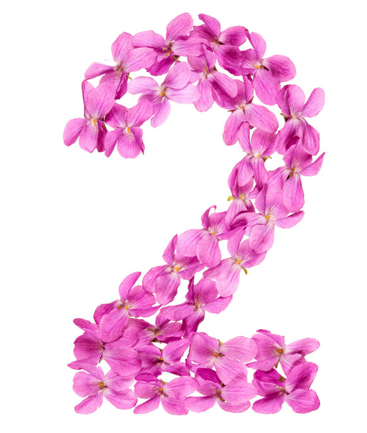Arabic numeral 2, two, from flowers of viola, isolated on white background - Valokuva, kuva