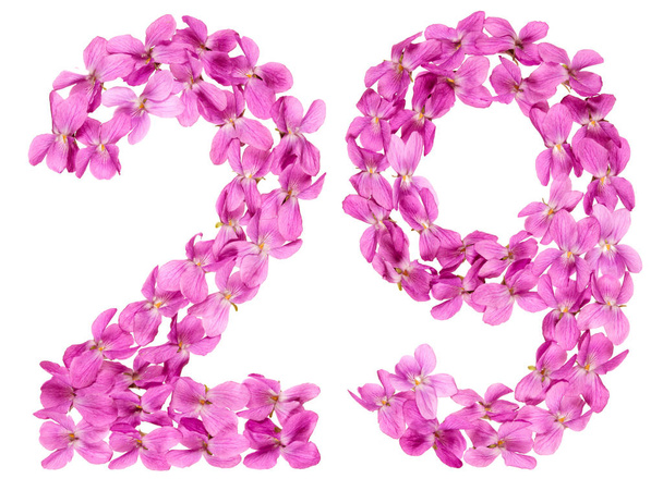 Арабські цифри 29, двадцять дев'ять з квітів Альта, ізольовані на білому тлі - Фото, зображення