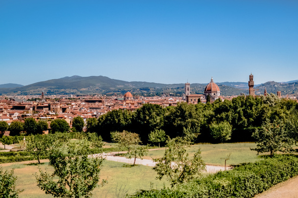 vihreitä puita, pensaita ja kauniita muinaisia rakennuksia Firenzessä, Italiassa
 - Valokuva, kuva