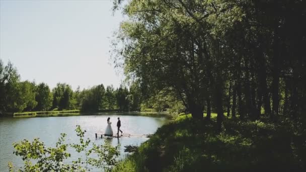 Les arbres poussent sur la rive d'un lac par une journée ensoleillée
 - Séquence, vidéo