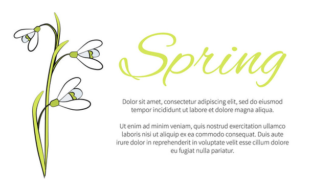 Spring Floral Banner with Text, Made of Snowdrops - Vector, Imagen