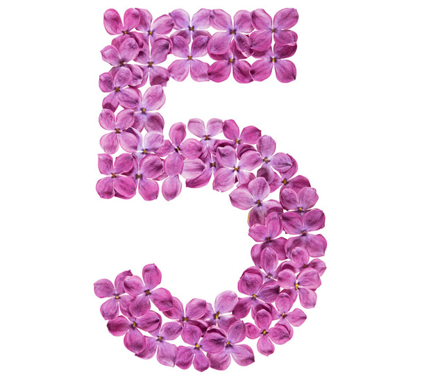 Numero arabo 5, cinque, da fiori di lilla, isolati su sfondo bianco
 - Foto, immagini