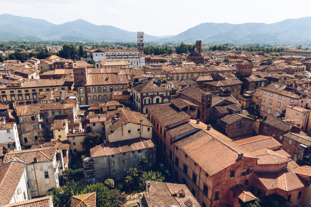Luftaufnahme von Gebäuden in der Altstadt von Pisa, Italien  - Foto, Bild