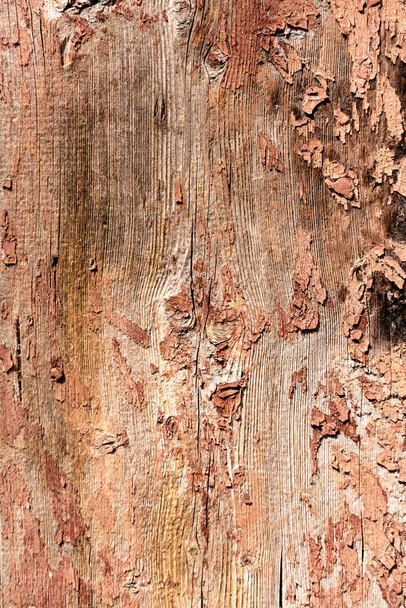 close-up view of old scratched weathered wooden background - Photo, Image