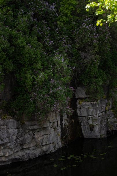 Όμορφη Fjadrargljufur φαράγγι με ποτάμι και μεγάλα βράχια. Γρήγορη Bucky φαράγγι του ποταμού, - Φωτογραφία, εικόνα
