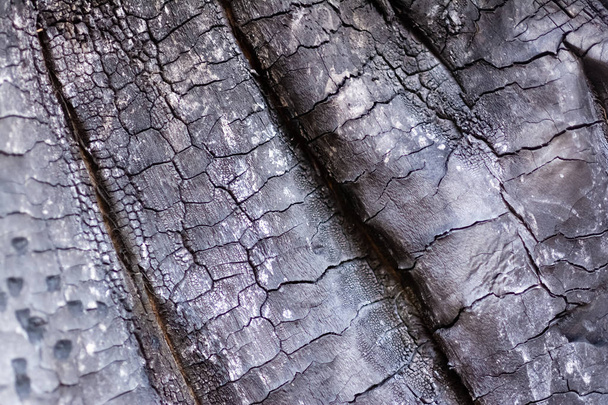 close-up view of old burned wooden background - Foto, imagen
