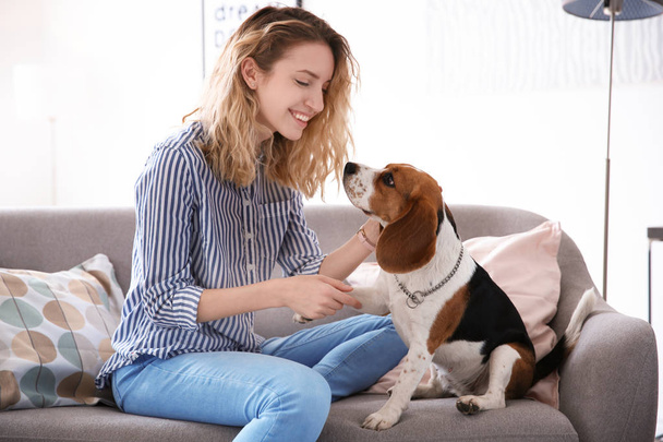 Young woman with her dog on sofa at home - Photo, Image