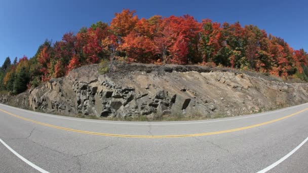 Fall Colors Highway Fisheye - Footage, Video