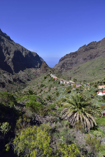 Klein dorpje Masca in Tenerife. Het dorp ligt op een hoogte van 750 m in het Macizo de Teno-gebergte. - Foto, afbeelding