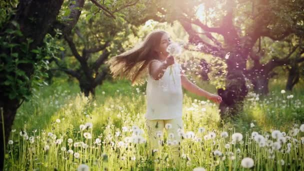 Jong meisje speelt met paardebloemen in de natuur - Video