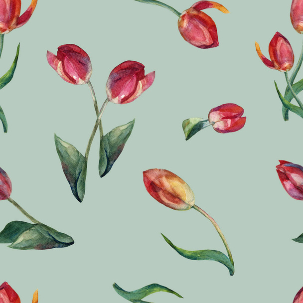 Watercolor different red tulips. Seamless pattern on a green background. - Foto, afbeelding