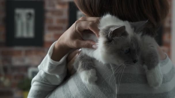 Vrouw met een kat op haar schouder - Video