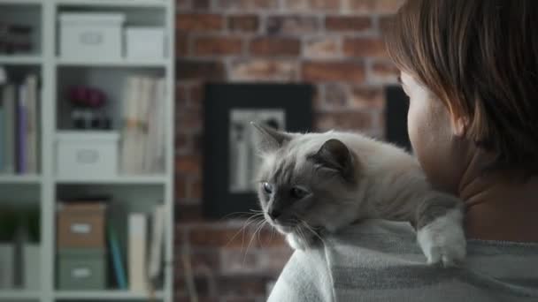 Kobieta trzyma kota na jej ramieniu - Materiał filmowy, wideo