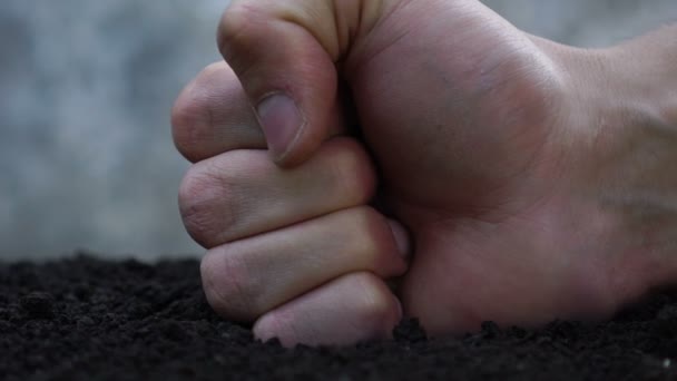 Kampf gegen die Gartenarbeit. Zerstörung des Ökosystems. - Filmmaterial, Video