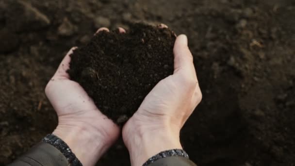 Las manos humanas toman una muestra del suelo fértil negro
 - Metraje, vídeo