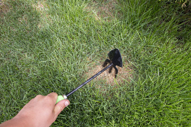 Садовник чинит газон, после калеки домашних животных
 - Фото, изображение