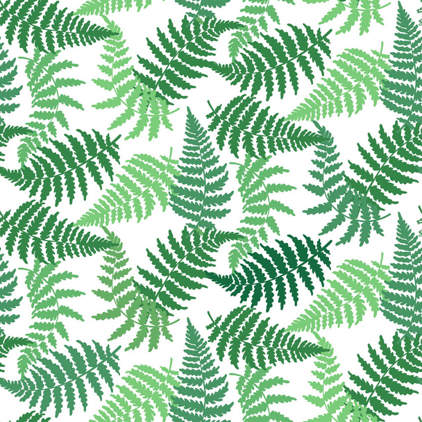 シダの葉のベクター パターン図 - ベクター画像