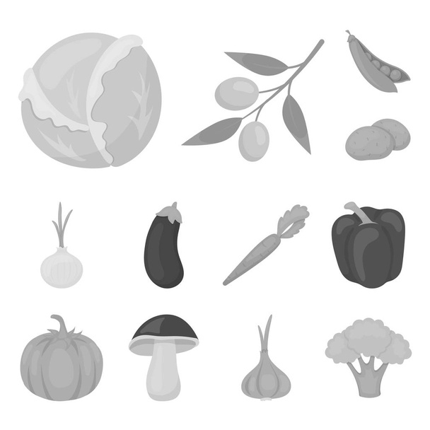 Different kinds of vegetables monochrome icons in set collection for design. Vegetables and vitamins vector symbol stock web illustration. - Vettoriali, immagini