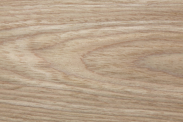 Gentle beige oak veneer background for your new image. - Photo, Image