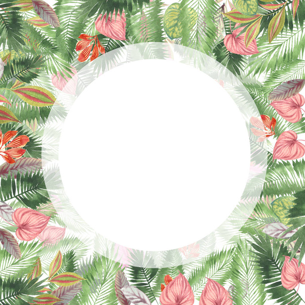 tropical watercolor background, natural leaves, paportnik, dense jungle, palm leaves, liana, traditional chant, callas, lianas, on white background - Foto, imagen