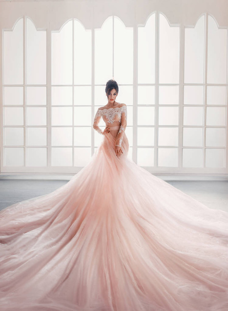 A young princess in an expensive, luxurious dress with a long train stands against the background of a vintage, high window. Interior in the style of a loft. High hairstyle, bright makeup - Foto, imagen