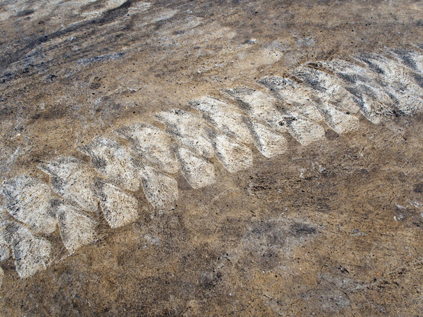 Λαϊκή άρει κομμάτι ελαστικού δαπέδου contrete - Φωτογραφία, εικόνα