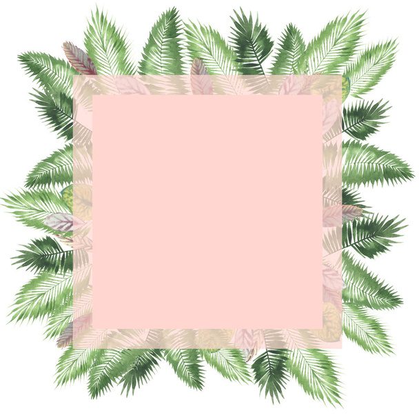 tropical watercolor background, natural leaves, paportnik, dense jungle, palm leaves, liana, traditional chant, callas, lianas, on white background - Φωτογραφία, εικόνα