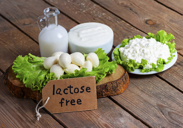 tej, a joghurt, a mozzarella és a sajt háttér - laktóz ingyenes élelmiszer - Fotó, kép