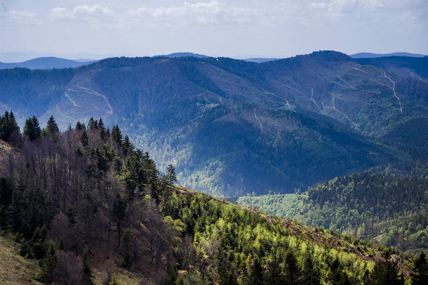 view of landscape of the carpathian mountains from peak of Parashka mount, national park Skolevski beskidy, Lviv region of Western Ukraine - Foto, Imagem
