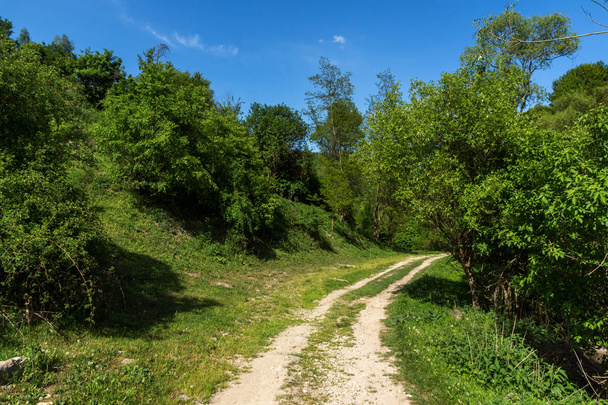 Amazing landscape of Green Hills near village of Fotinovo in Rhodopes Mountain, Pazardzhik region, Bulgaria - Фото, изображение