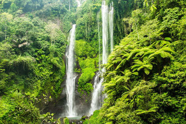 Cascada de Sekumpul en Bali rodeada de bosque tropical
 - Foto, imagen