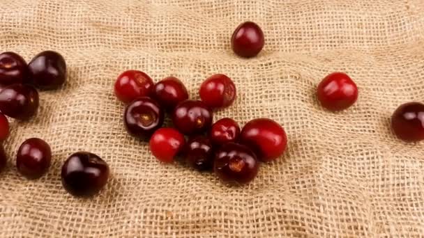 Červená čerstvá cherry na povrchu pytloviny. - Záběry, video