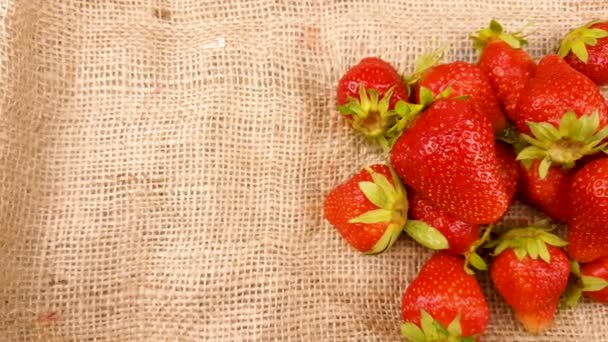 Red fresh close up strawberry on sackcloth fabric surface. - Footage, Video