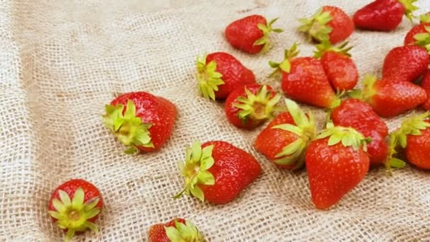 Red fresh close up strawberry on sackcloth fabric surface. - Footage, Video