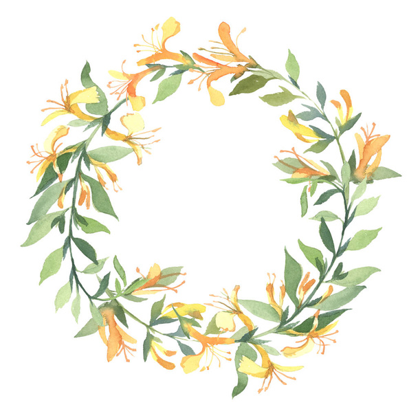 The wreath of watercolor yellow honeysuckle flower isolate on white background. Flowers for wedding cards. - Foto, Imagem