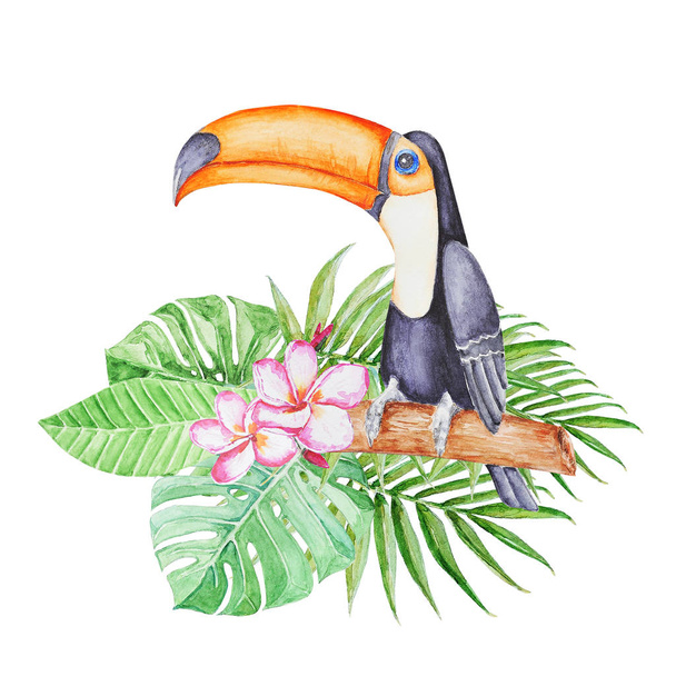 Милий тропічний тукан, що сидить на гілці в тропічному листі. Ручна акварельна ілюстрація
. - Фото, зображення