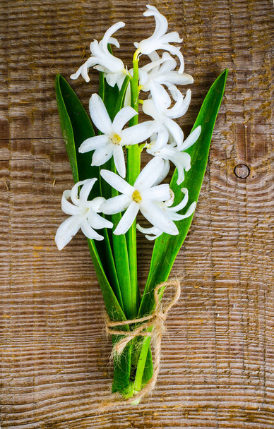 Spring hyacinth flower - Photo, Image