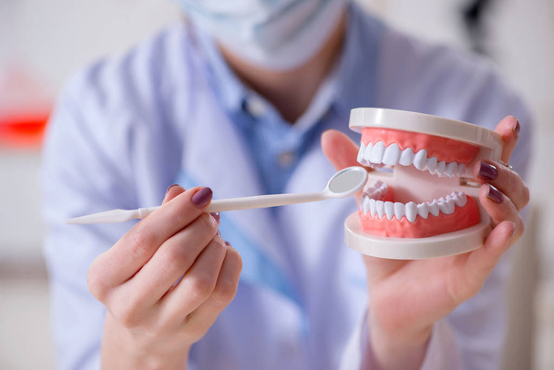Odontólogo practicando trabajo en modelo dental - Foto, Imagen