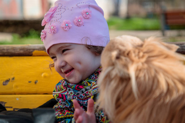 small and sweet girl with a fluffy dog - 写真・画像