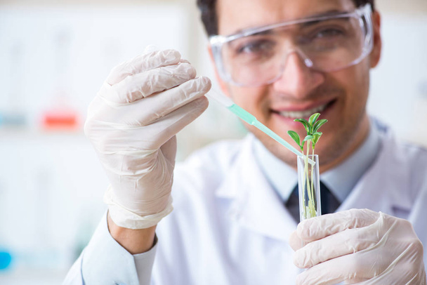 Férfi biokémikus dolgozik a laborban a növények - Fotó, kép