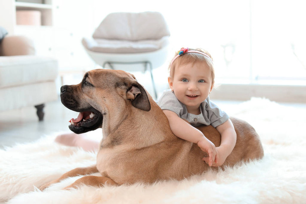 Cute little child with dog at home - Fotoğraf, Görsel