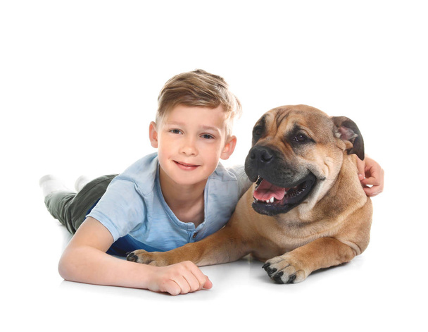 Cute little child with his dog on white background - Fotoğraf, Görsel