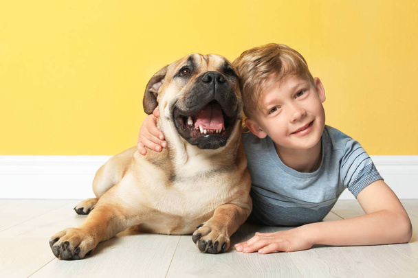 Cute little child with his dog near color wall - Photo, Image