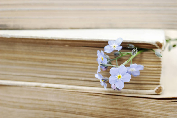 Stack of old books and forget-me-not flowers. retro style - Fotó, kép